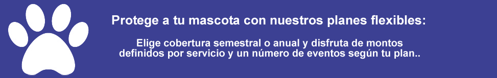 banner huella de amor