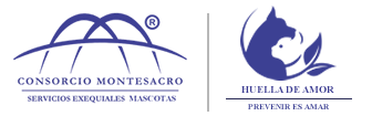Mascotas